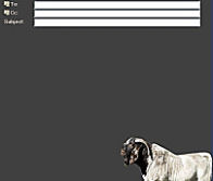 African Boer Goat