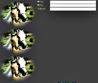 Beautiful Horses