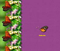 Buterfly Stationery