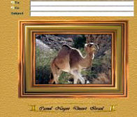 Camel Negev
