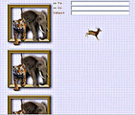 Elephant/Tiger Border