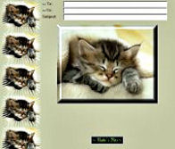 Kitten Sleeping