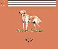 Labrador Retriever