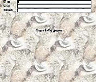 Tabbycat