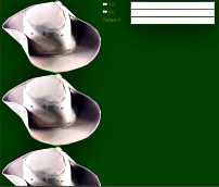 Aussie Hat