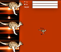 Kangaroo Sunset