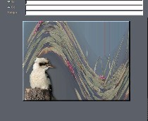 Kooka Lillypond