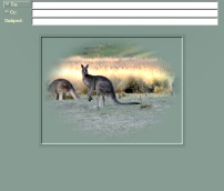 Roo at Dusk