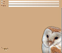 Barn Owl