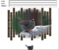 Firetail