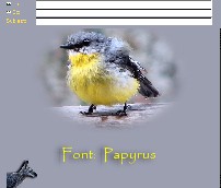 Yellow Robin