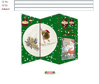 Folding Christmas Card