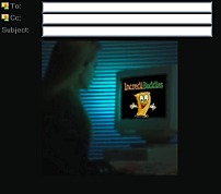Lady On Computer
