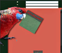 Parrot A Quick Note