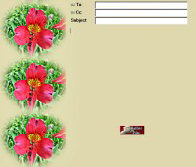 What Flower Border